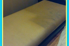 e152b67b66075d03732157909b18c9a6